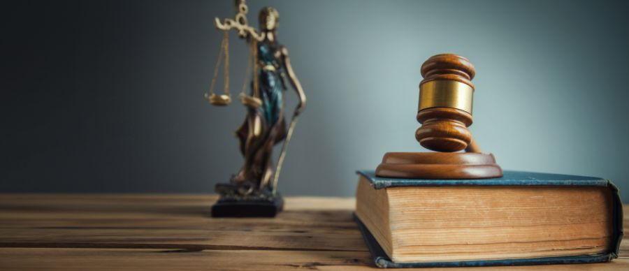 Teisininko vaidmuo ir atsakomybės